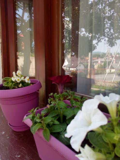 Guest House Olbina Кореница Екстериор снимка