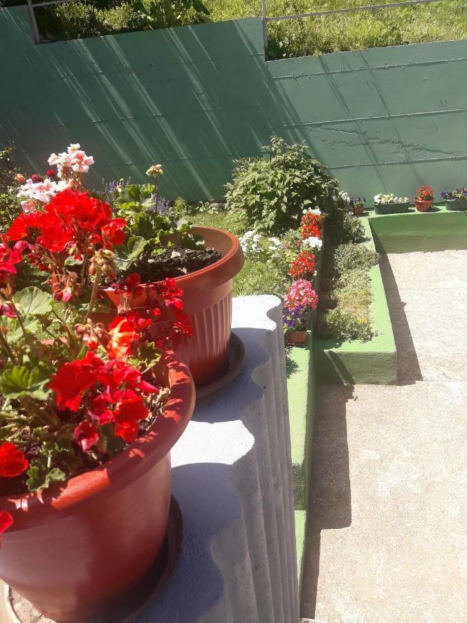 Guest House Olbina Кореница Екстериор снимка